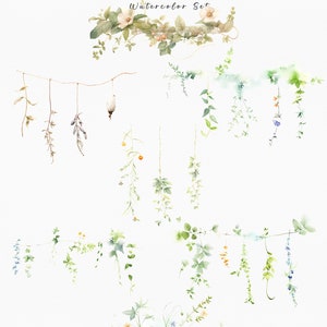 Op de afbeelding: Waterverfillustratie getiteld "Herbology" met diverse botanische elementen. De afbeelding toont hangende wijnranken, bloemstukken en een houten vat, allemaal weergegeven in zachte aquarelkleuren van groen, blauw en beige.