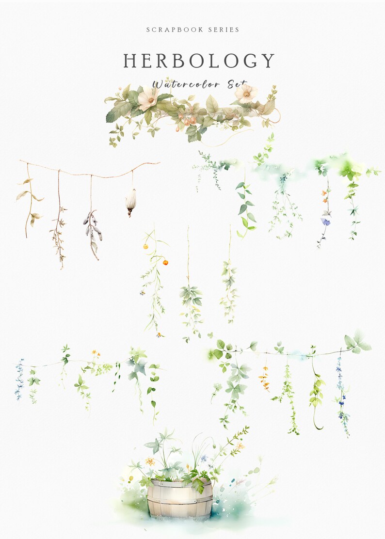 Op de afbeelding: Waterverfillustratie getiteld "Herbology" met diverse botanische elementen. De afbeelding toont hangende wijnranken, bloemstukken en een houten vat, allemaal weergegeven in zachte aquarelkleuren van groen, blauw en beige.