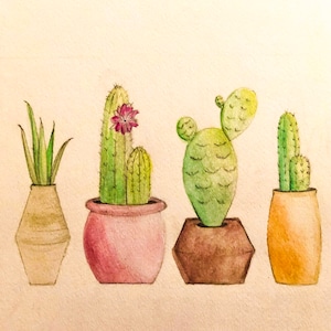 Puede incluir: Cuatro acuarelas de cactus y suculentas en maceta. Los cactus son verdes y tienen espinas. Las suculentas son verdes y tienen hojas carnosas. Las macetas son de diferentes colores y formas.