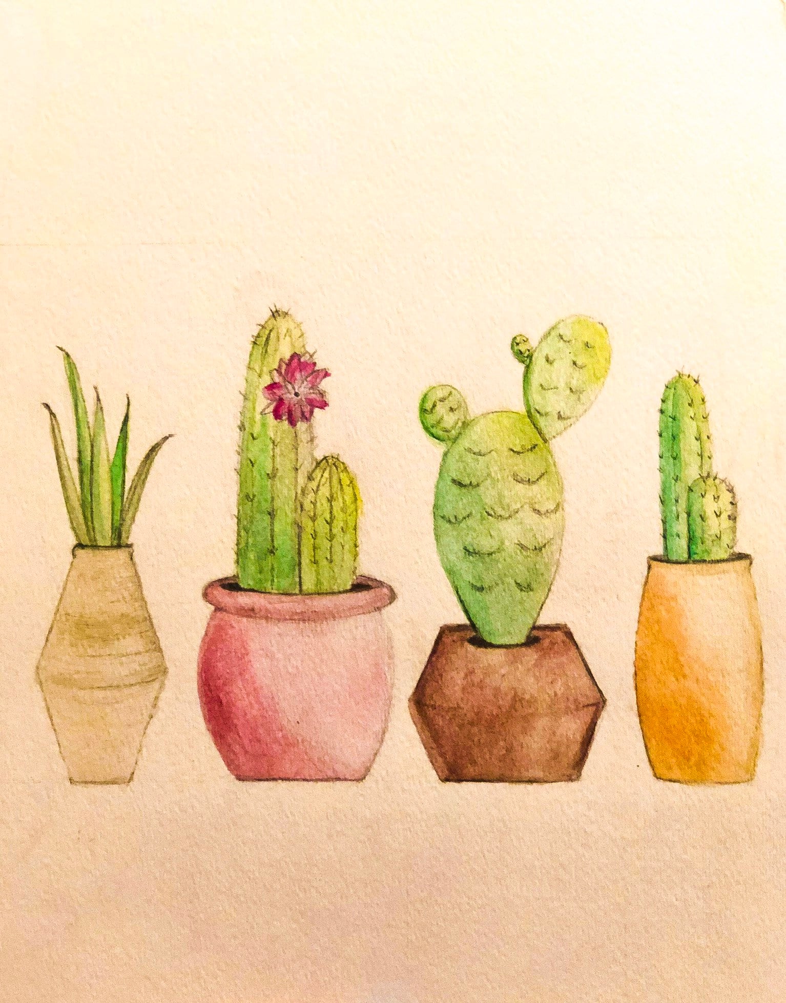 Lil Cactus, Watercolor Drawing, Art Print - Etsy Israel