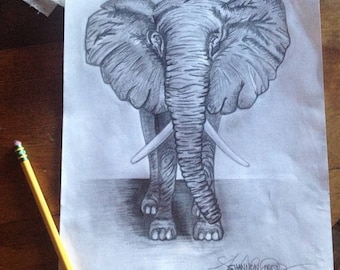 Elephant Art Print, Pencil Drawing, Black and White