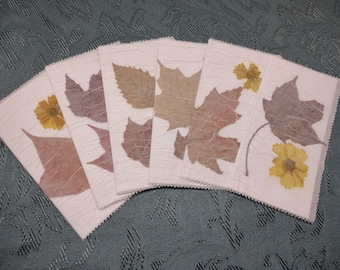 Set of 6 Handmade Real Pressed Flower Fall Leaf Note Cards Galardia Fall Leaves, Autumn Stationery Rustic Art Nature