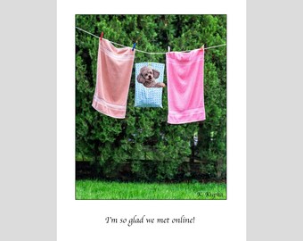 Online Dating, online dating card, Poodle, swipe right, online dating survivor, dogs, humorous, clothesline, Kathy Kupka