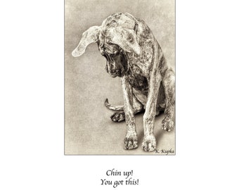 You got this, dog card, Great Dane, Encouragement, Congratulations, Chin Up, Cancer, Courage, Get well card, 12 step program, sobriety
