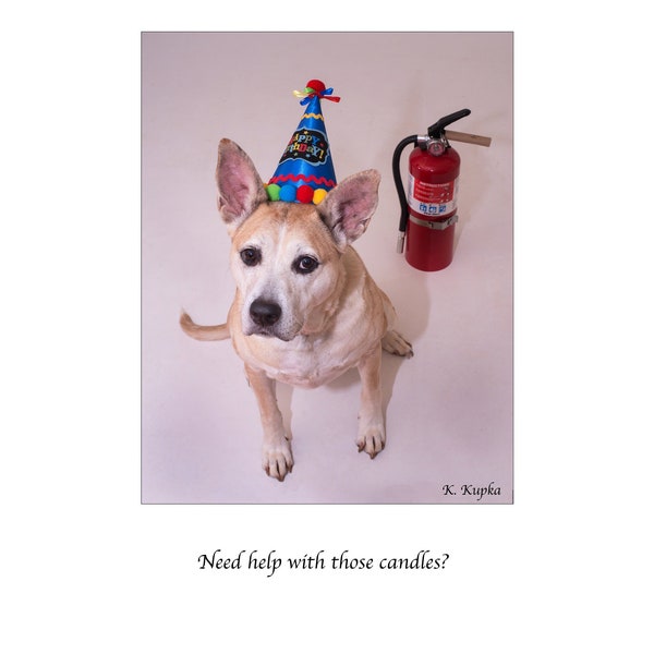 Fire Extinguisher Birthday Candles Etsy