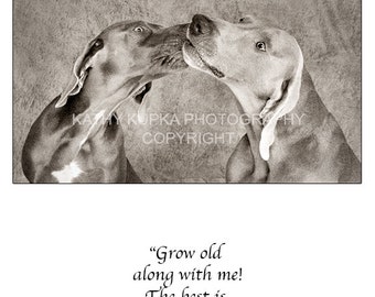 Anniversary card, Weimaraner, Robert Browning quote, Love, Dog Card, All Occasion Card, Just Because Card, Kathy Kupka