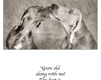 May include: A black and white photograph of two Weimaraner dogs nuzzling each other. The quote "Grow old along with me! The best is yet to be." by Robert Browning is printed below the image.