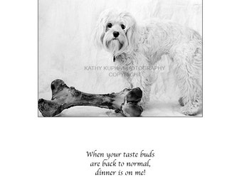 Cancer Card, Cancer Greeting Cards, Get Well Cards, Inspirational Cards, Encouragement Card,s Dog Cards, Humorous, Cockapoo, Kathy Kupka