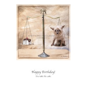 Happy Birthday card, Toy Yorkshire Terrier, funny card, cake, cake birthday card, dog greeting card, funny dog card, dog lovers, Kathy Kupka