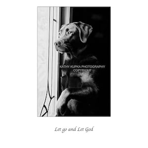May include: Black and white photograph of a black Labrador Retriever looking out a window. The dog is sitting with its paws crossed and its head tilted. The text "Let go and Let God" is written below the image.