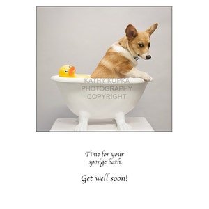 May include: A corgi dog sits in a white bathtub with a yellow rubber ducky. The text "Kathy Kupka Photography Copyright" is printed on the side of the tub. The caption below the image reads "Time for your sponge bath. Get well soon!"