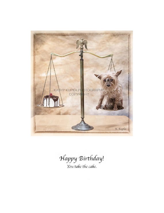 Carte Joyeux Anniversaire Toy Yorkshire Terrier Carte Drole Etsy Carte Joyeux Anniversaire Toy Yorkshire Terrier Carte Drole Etsy