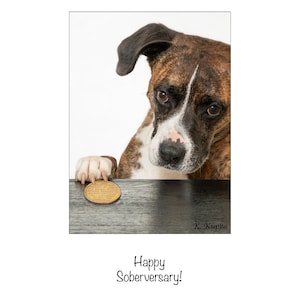 May include: A brindle and white dog with dark eyes rests its paw on a round gold-colored sobriety coin placed on a dark wooden surface. The text Happy Soberversary! appears below the image, and the artist signature K. Kupka is in the corner.