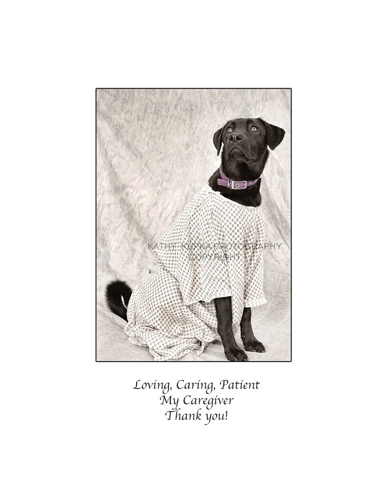 Caregiver card, Thank you card, thank you cards, Nurse, Doctor, Cancer Card, Dog Cards, Humorous, Photography, hospital gown, Kathy Kupka image 1