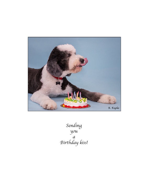 Sheepadoodle Birthday Card Happy Birthday Dog Card Kiss - Etsy Sheepadoodle Birthday Card Happy Birthday Dog Card Kiss - Etsy