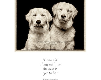 Golden retrievers, Card, Anniversary, for him, for her, Love, Dog Card, wedding card, Robert Browning quote, love, Kathy Kupka