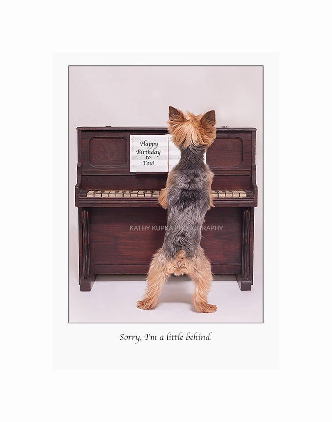 Belated Happy Birthday Card Yorkshire Terrier Late Birthday Etsy Belated Happy Birthday Card Yorkshire Terrier Late Birthday Etsy