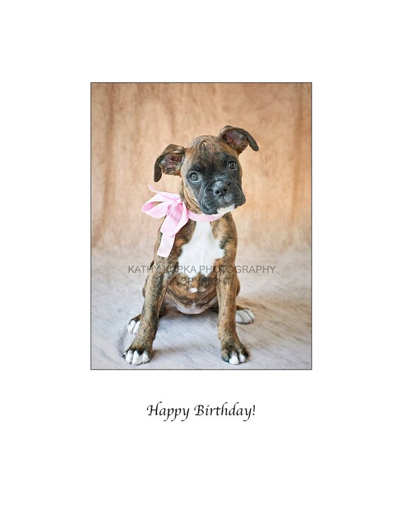 Carte De Joyeux Anniversaire Boxer Voeux Carte Carte Joyeux Etsy Carte De Joyeux Anniversaire Boxer Voeux Carte Carte Joyeux Etsy