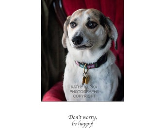 Worry warts, Get Well card, Encouragement, Don't Worry Be Happy, Life's too short, Mixed Beagle, Cheer Up, Humorous, Dog photo, Kathy Kupka