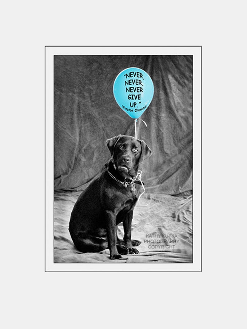Cancer Card Encouragement Card Sobriety Card Never Give Up Winston Churchill Labrador Retriever World Cancer Day Kathy Kupka - 