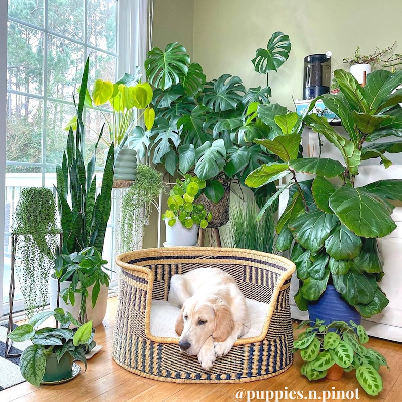 Dog Bed Handmade Dog Bed Pet Bed Dog Lounger Dog Bed Large Etsy