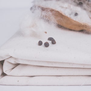 seed organic bassinet