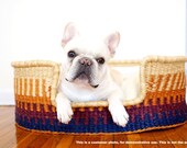 Lauréat du prix Design Dua chien lit - HGTV