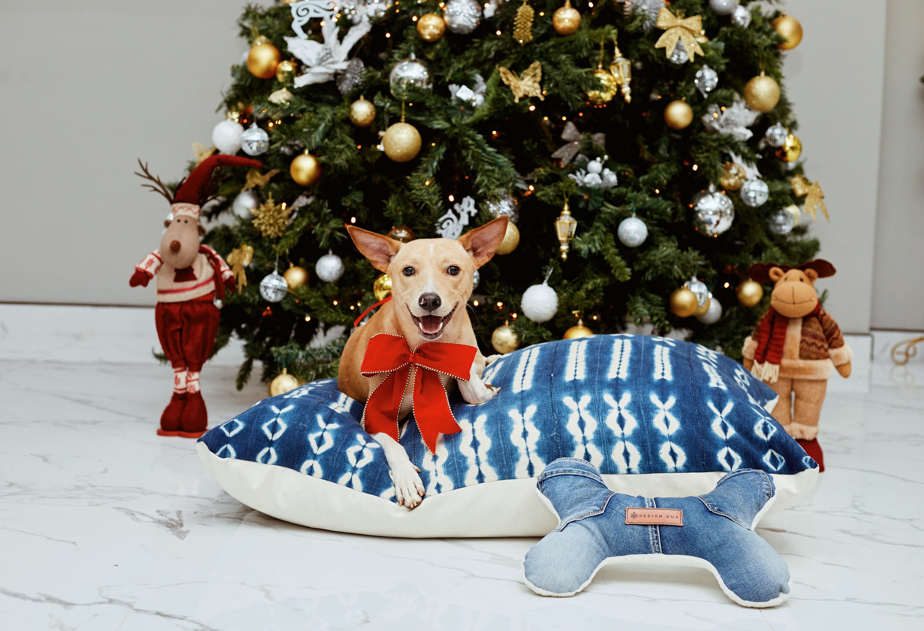 Lit Pour Chien, Lit Chien Fait à La Main, Animaux de Compagnie, Chaise Longue Grands Chiens, Panier 