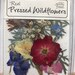 Pressed Dried  Wildflowers 10 pieces