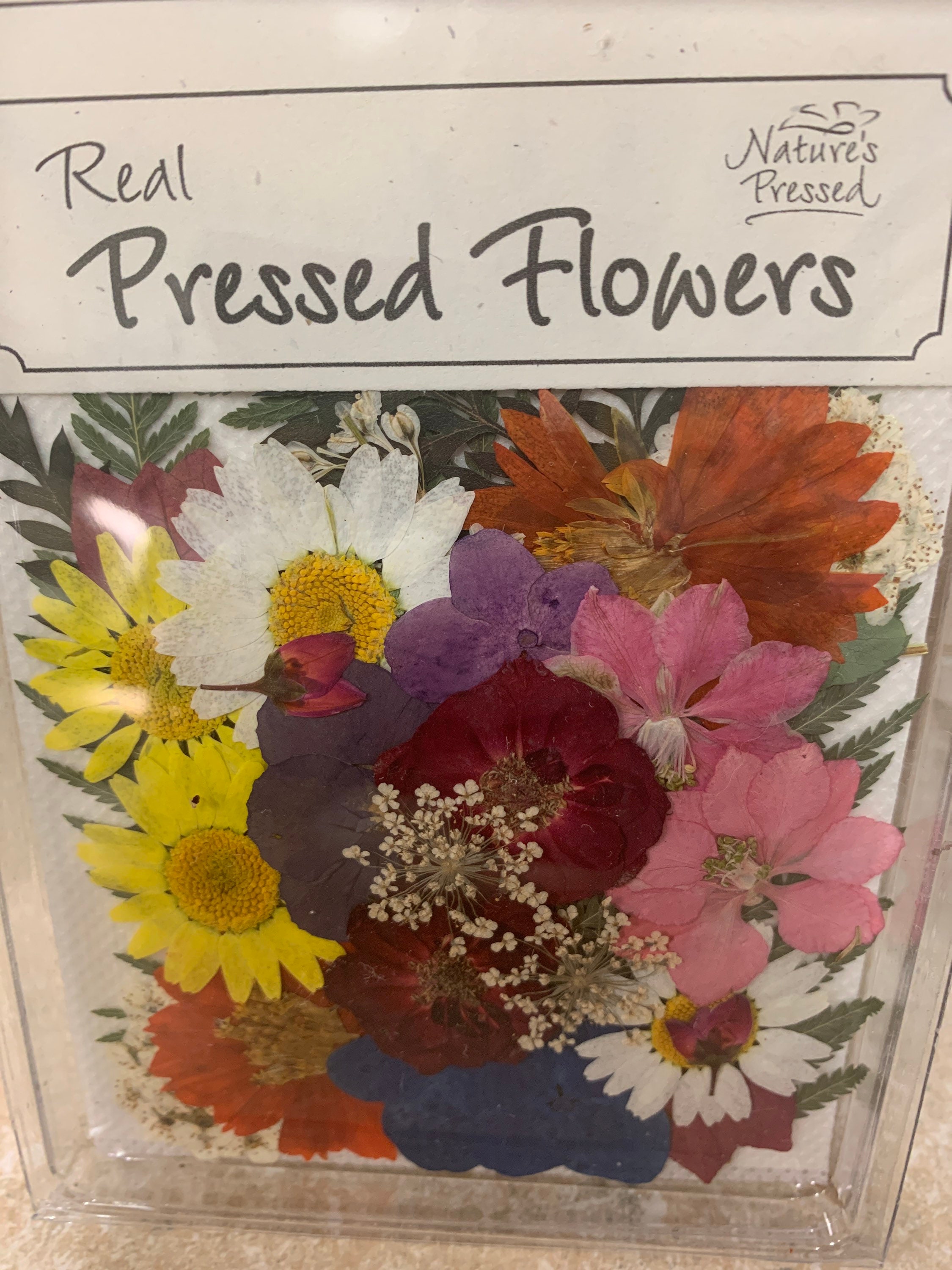 Pressed Dried Assortment Flowers and Ferns Etsy