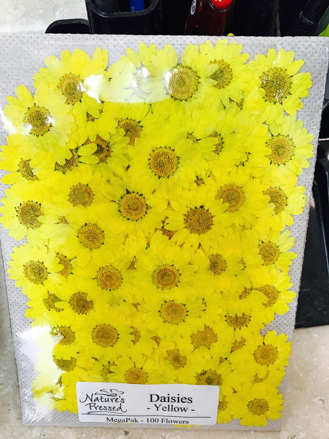 Yellow daisies 100 count  Sale