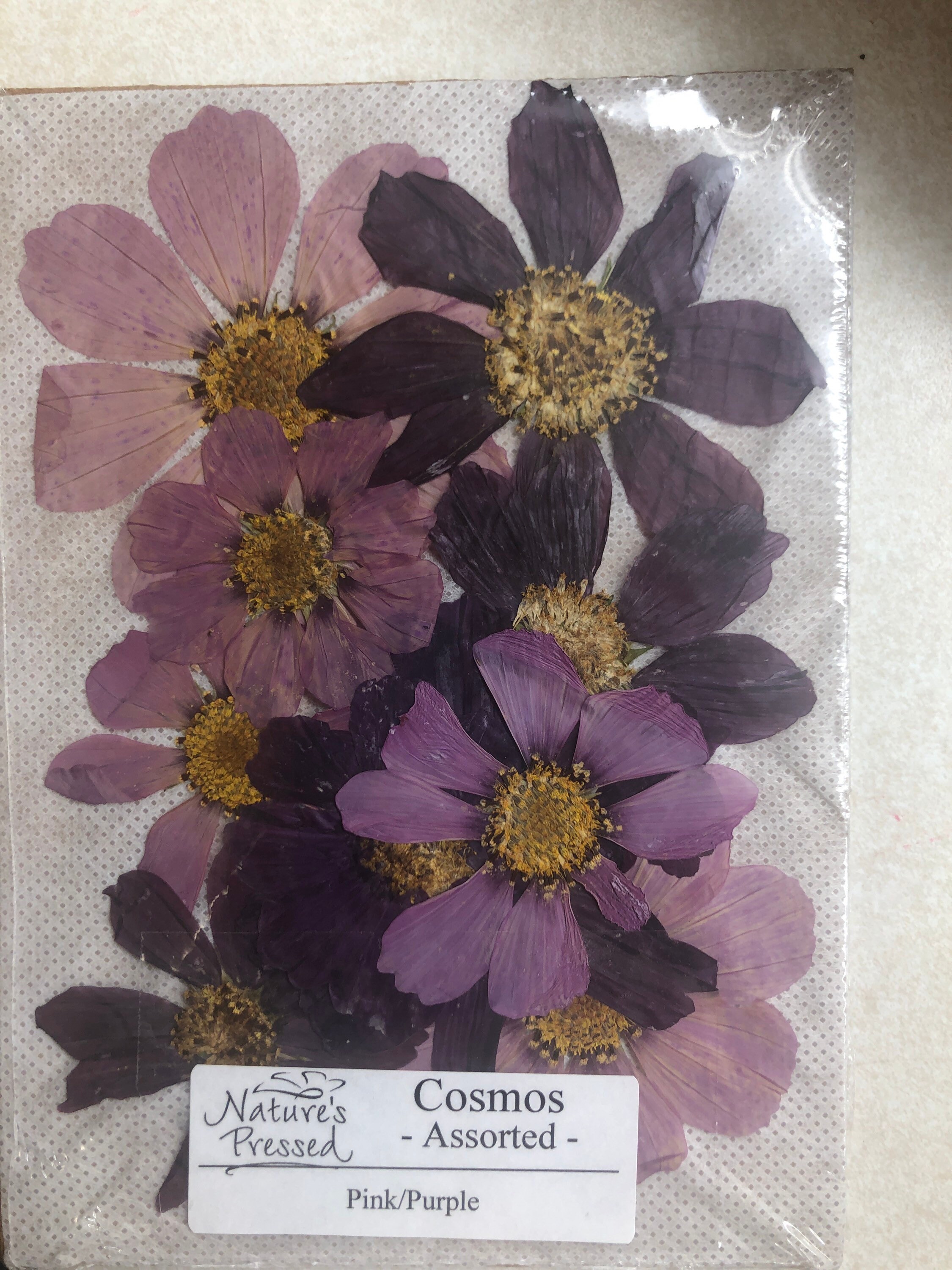Cosmos 10 count