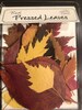 Assorted fall leaves 20 count, leaves may vary 