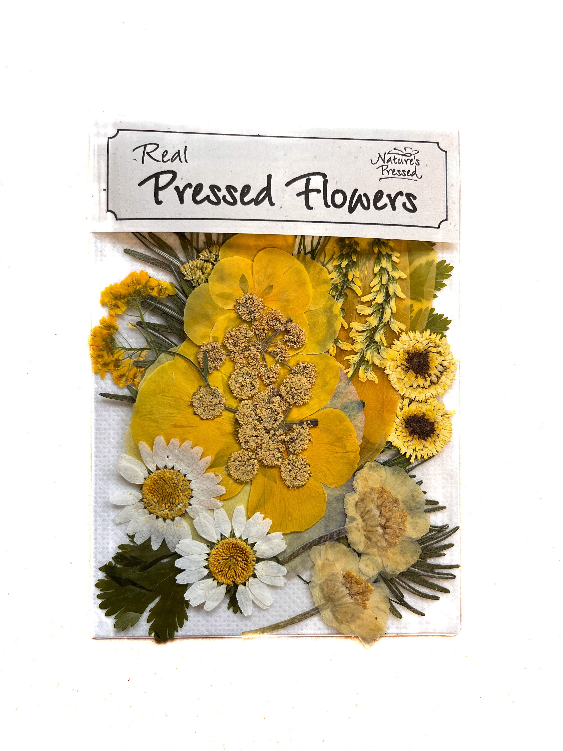 Edible Flowers Buzz Button™ 50 Ct , Flower Buttons