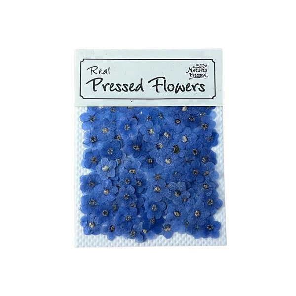Single Forget-Me-Nots - 100 Flowers