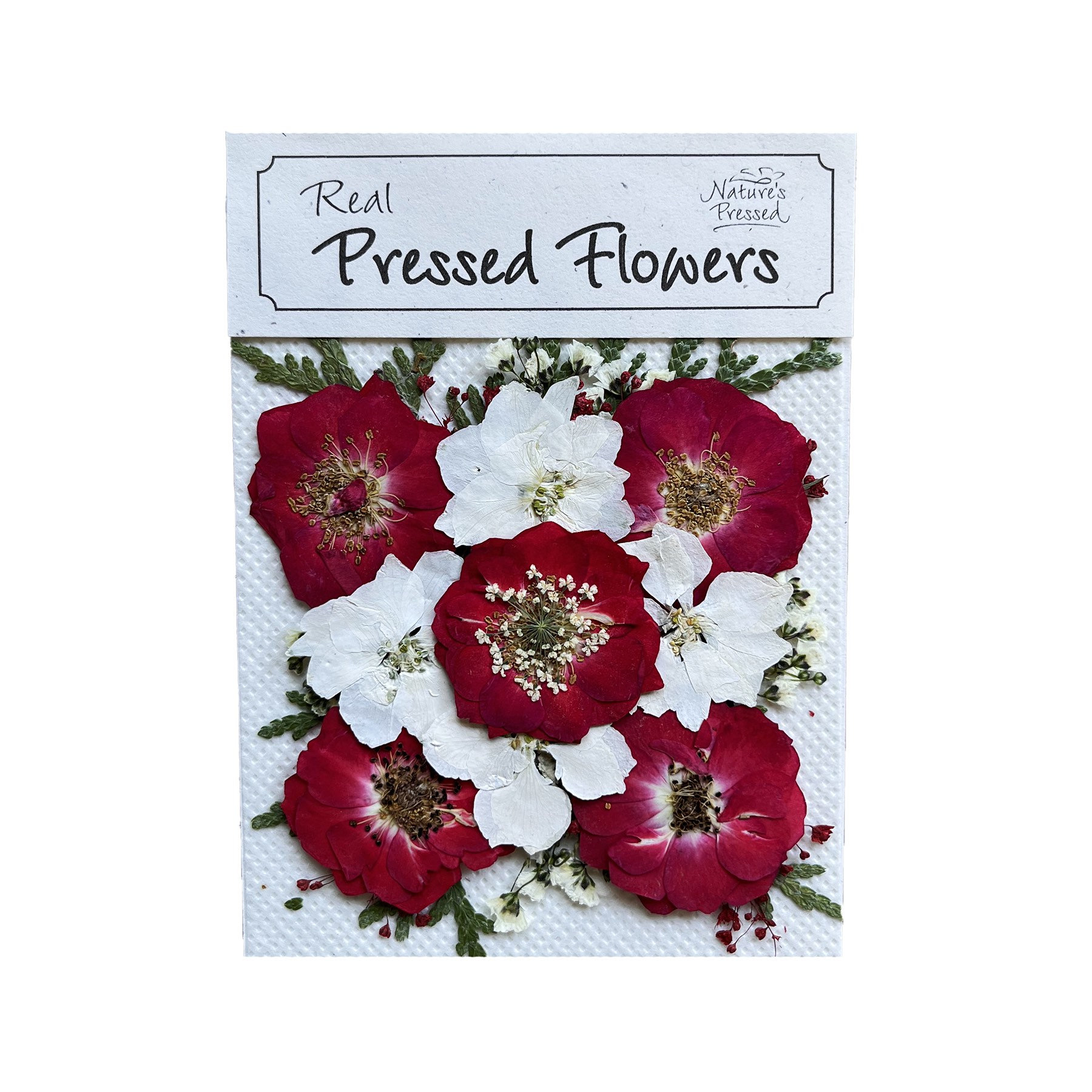 Dried Pressed Flowers For Crafts - Pressed Flowers Mix Pack - Dry Pressed  Flower Art - Dried Real Flowers - Card Making - 145x106mm -HM1027A