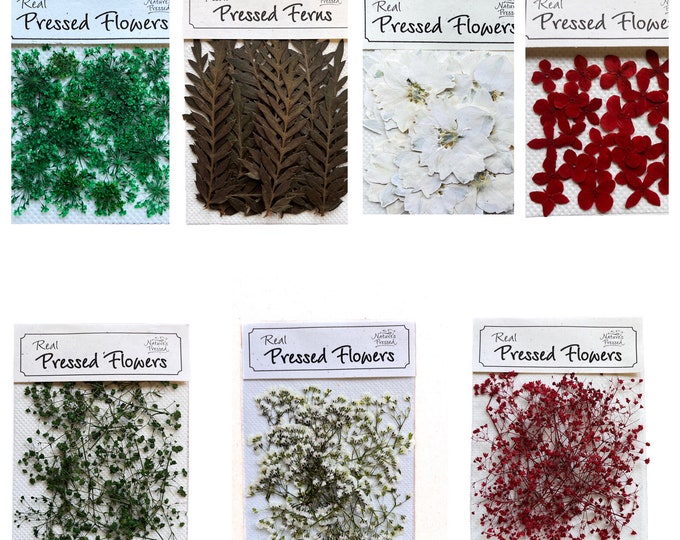 Christmas Color Collection (7 Clear Packs) - Etsy