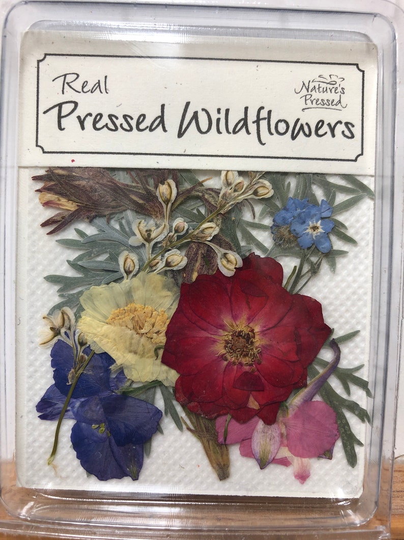 Pressed Dried Wildflowers 10 Pieces Etsy