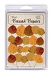 Real Pressed Dried Fall Aspen Leaves - 20 piece pack 