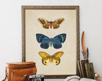 Vintage Butterfly Print, printable vintage wall art, blue home decor, blue wall art, bathroom wall decor, vintage home decor