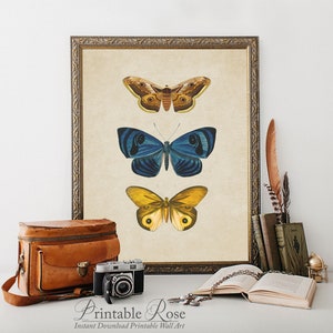 Vintage Butterfly Print, printable vintage wall art, blue home decor, blue wall art, bathroom wall decor, vintage home decor image 1