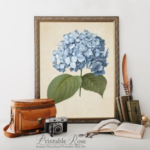 Hydrangea Print, Printable, digital download, hydrangea, botanical print, botanical prints, home decor, art prints, printable art, wall art