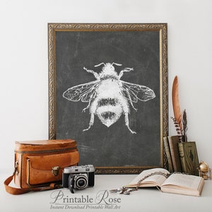 Bee Decor, French Country, Vintage Bee, Printable, french country decor, vintage french, french country wall decor, printables, wall decor