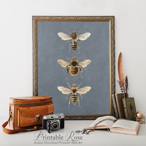 Bee Wall Decor, blue gray wall art, bee print, gold wall art bees, vintage bee wall art, nature home decor, vintage bees, bee decor print
