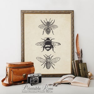 Bee Decor, printable, bee decorations, bee print, bee wall art, bee wall decor, art prints, wall art prints, vintage, wall art printable