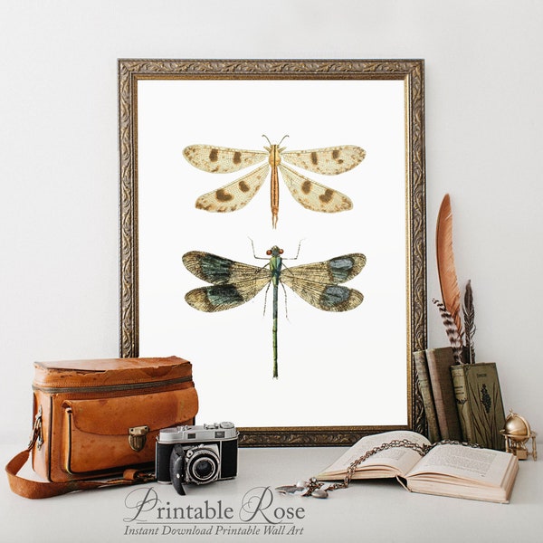 Dragonfly Wall Art, dragonfly gifts, home decor printable, living room home decor, prints home decor, wall art prints, vintage wall decor