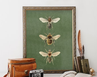 Arte de la pared de abejas, arte verde oliva y dorado, abeja imprimible, abejas de arte de pared, arte de pared de abejas vintage, decoración del hogar de la naturaleza, abejas vintage, impresión de decoración de abejas