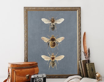 Bee Wall Decor, blue gray wall art, bee print, gold wall art bees, vintage bee wall art, nature home decor, vintage bees, bee decor print