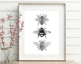 Bee Decor, printable, bee decorations, bee print, bee wall art, bee wall decor, art prints, wall art prints, vintage, wall art printable