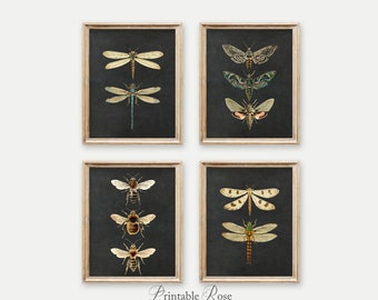 Set of 4 Prints, wall art, chalkboard, insect art, moth wall decor, bee printables, dragonfly wall decor, home gifts, home decor living room